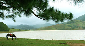 Vietnam Hight