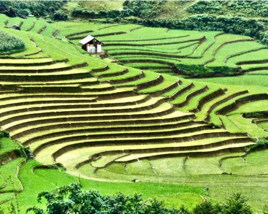 Sapa - beautiful mountain of Vietnam