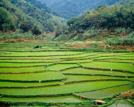 Mai Chau valley of Thai people