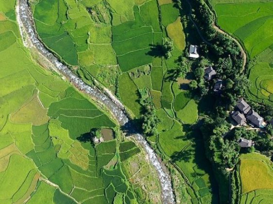 Photos: The Majesty of Rice Paddies in Ha Giang
